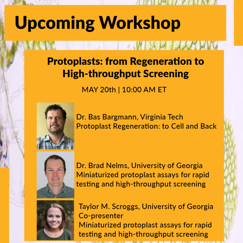 protoplast workshop-2 (1)